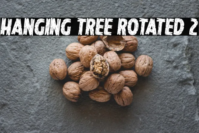 Hanging Tree Rotated 2 Example 1