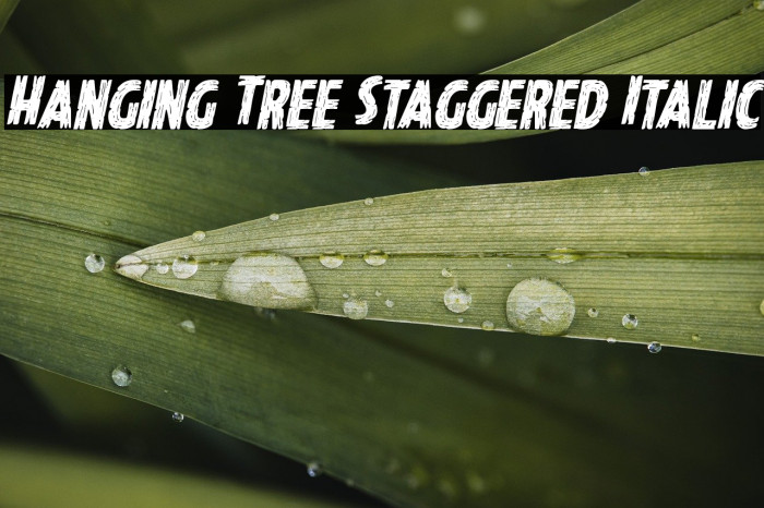 Hanging Tree Staggered Italic Example 1