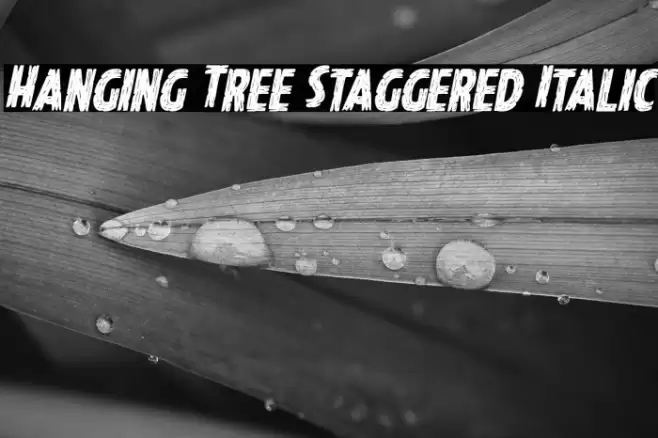 Hanging Tree Staggered Italic Font examples