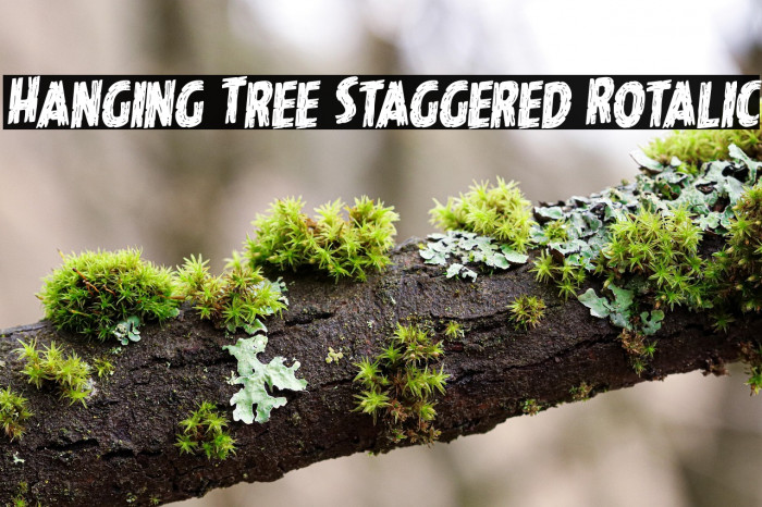 Hanging Tree Staggered Rotalic Example 3