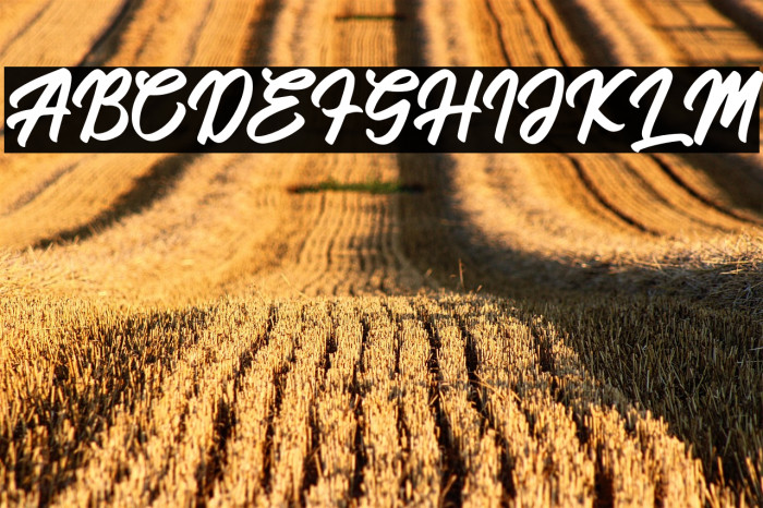 Hanglatter Example 1