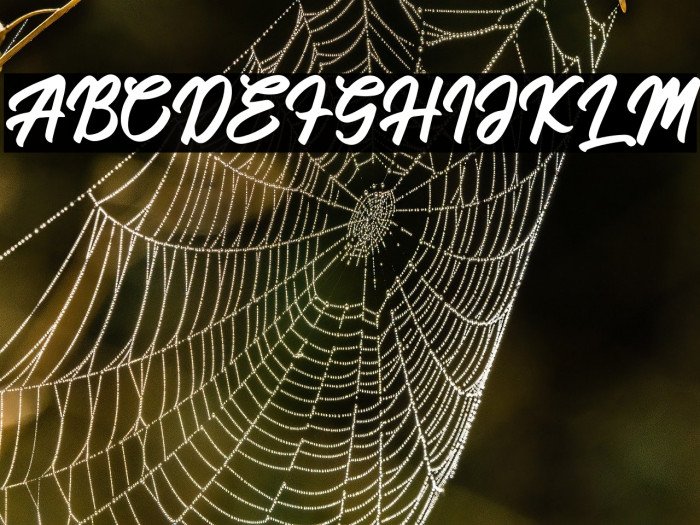 Hanglatter Example 3