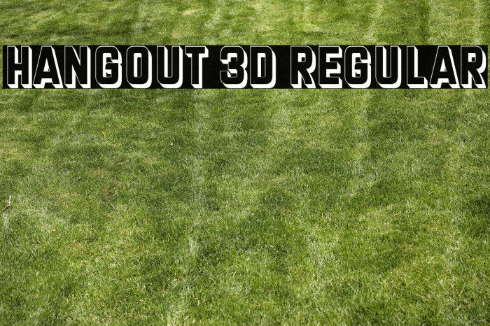 Hangout 3D Regular Example 1