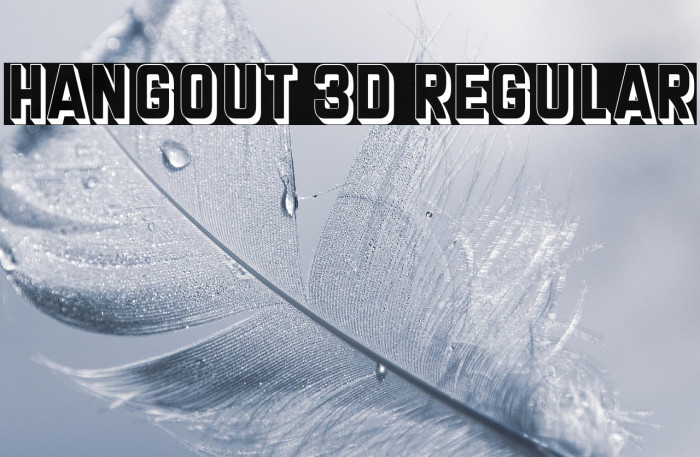 Hangout 3D Regular Example 2