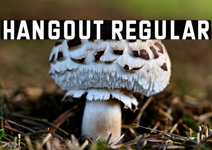 Hangout Regular Example 3