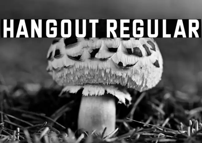 Hangout Regular Font examples