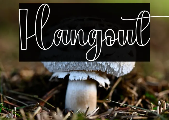 Hangout Example 2