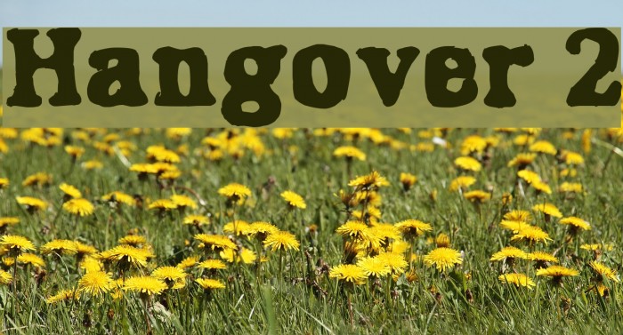 Hangover 2 Font examples
