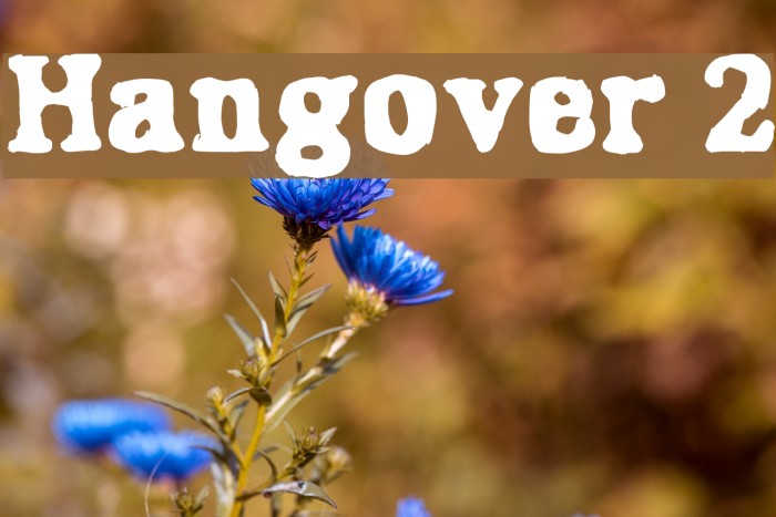 Hangover 2 Font examples