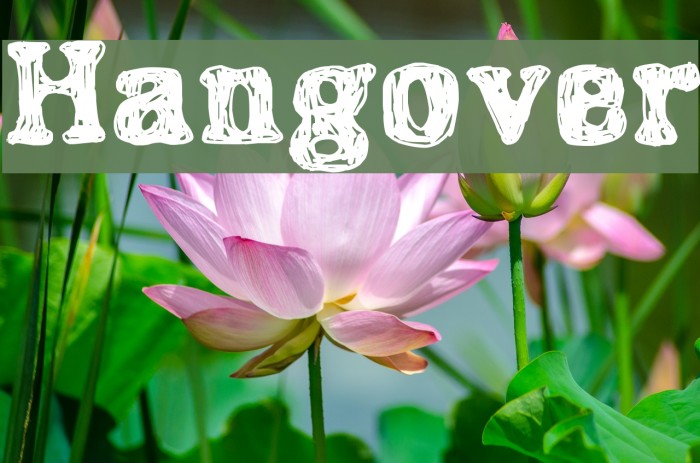 Hangover Example 2