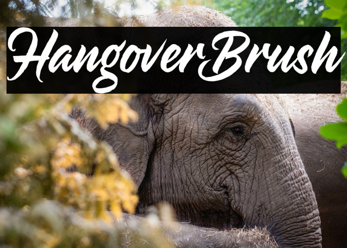 HangoverBrush Example 1