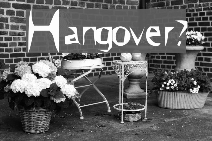 Hangover? Font examples