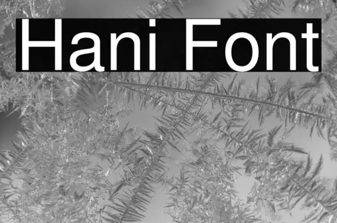 Hani Font examples
