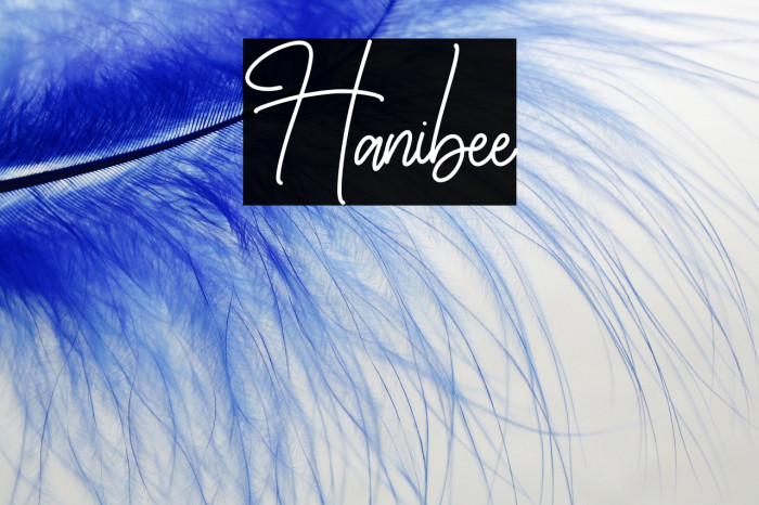 Hanibee Example 1