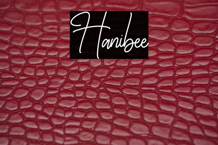 Hanibee Example 2
