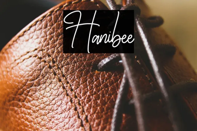Hanibee Example 3