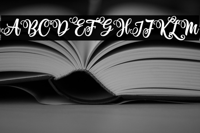 Haniberryku Example 2