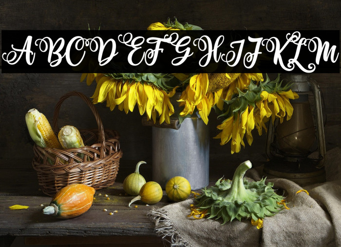 Haniberryku Example 3