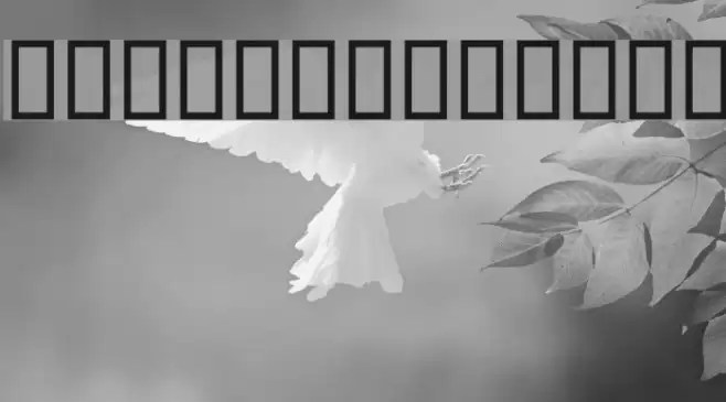 Hanif Bold Schriftart examples