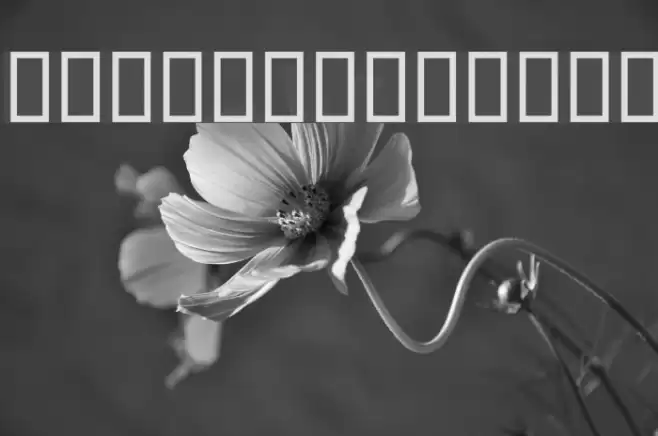 Hanif フォント examples