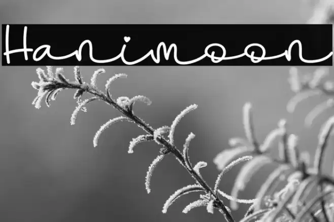 Hanimoon Font examples