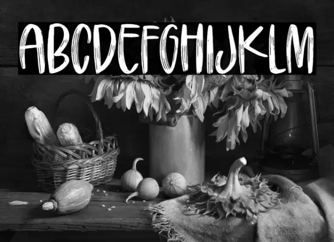 Hanindya Font examples