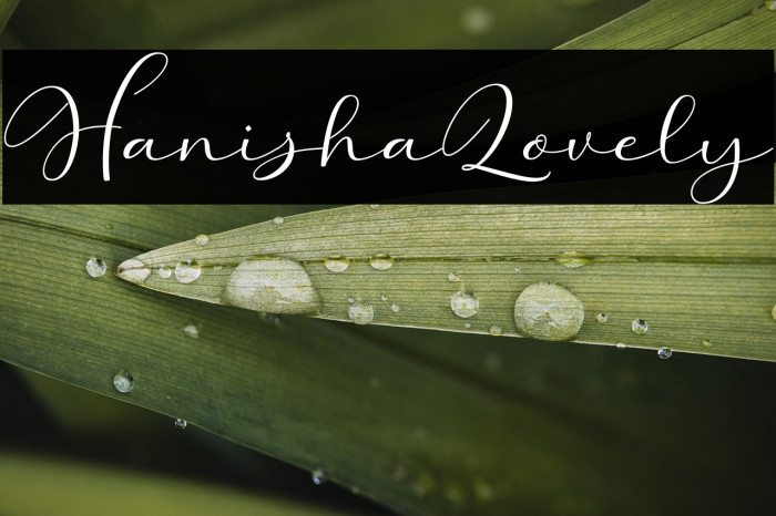 HanishaLovely Example 2