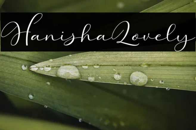 HanishaLovely Example 2