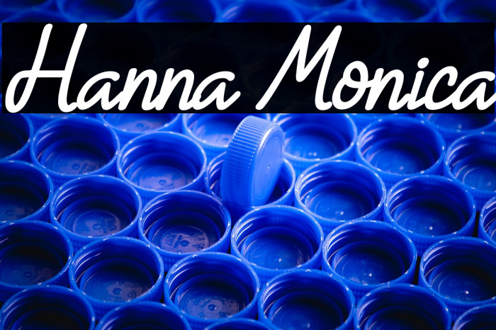 Hanna Monica Example 1