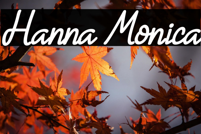 Hanna Monica Example 3