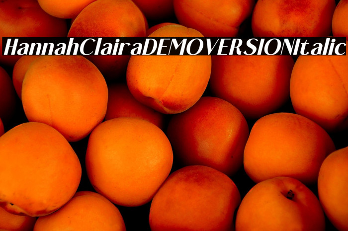 Hannah Claira DEMO VERSION Italic Example 2