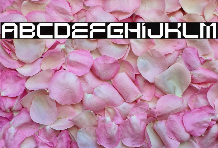 Hannah Regular Example 2