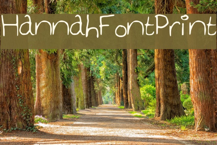 Hannah_Font_Print Font examples