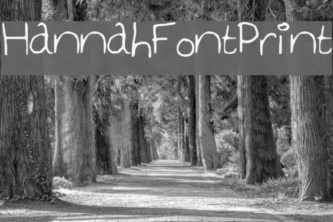 Hannah_Font_Print Font examples