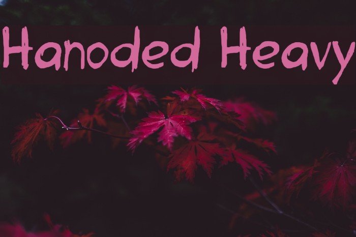 Hanoded Heavy Example 3