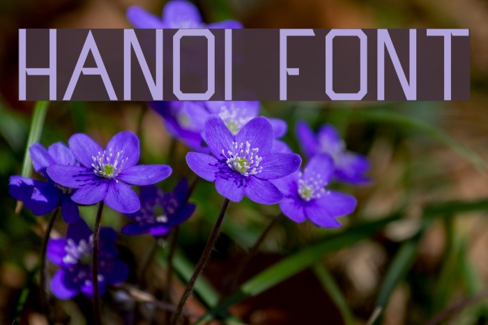 Hanoi Font examples