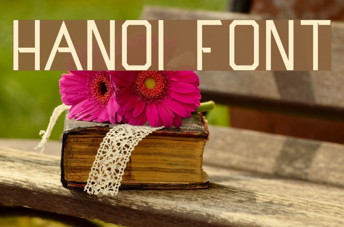 Hanoi Font examples