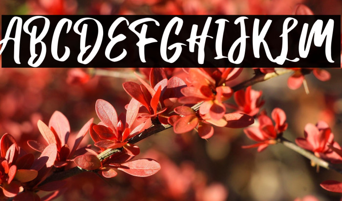 Hanomali Demo Regular Example 3