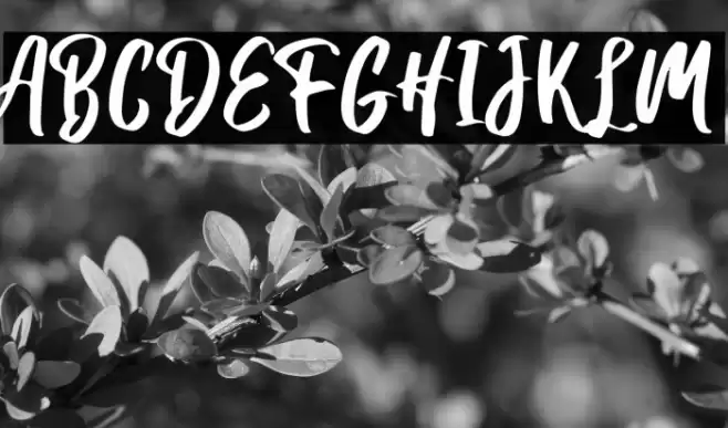 Hanomali Demo Regular Font examples