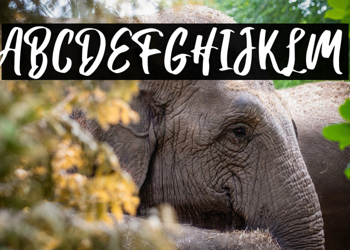 Hanomali Demo Regular Example 1