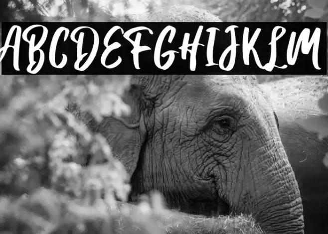 Hanomali Demo Regular Font examples