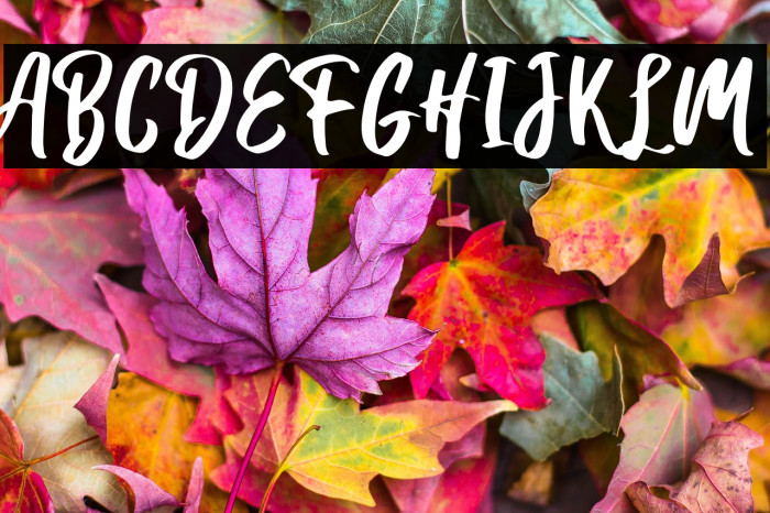 Hanomali Demo Regular Example 3