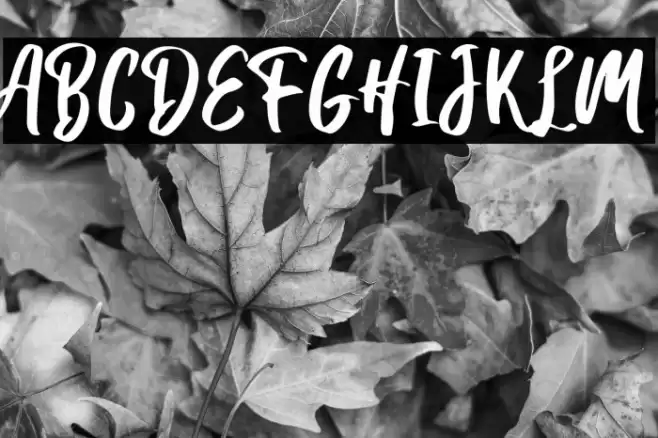 Hanomali Demo Regular Font examples