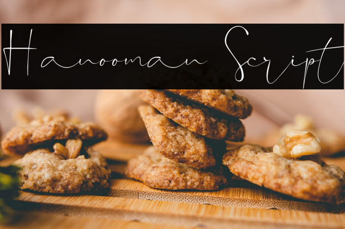 Hanooman Script Example 1