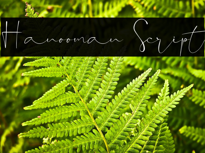 Hanooman Script Example 2