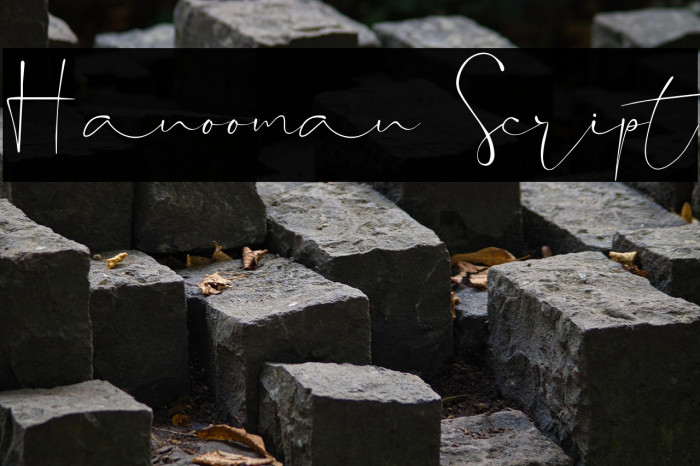 Hanooman Script Example 3