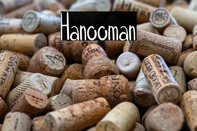 Hanooman Example 1