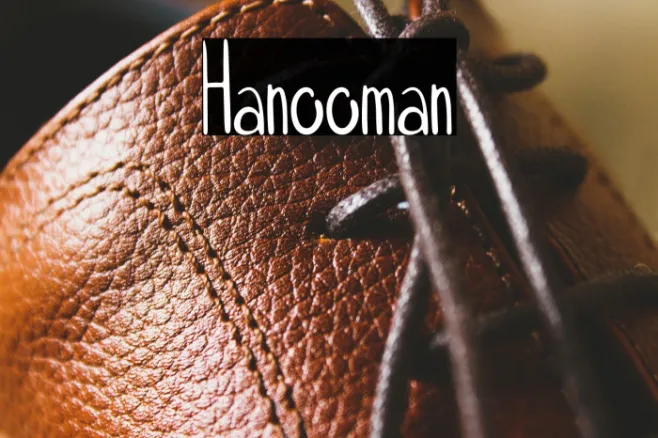 Hanooman Example 2