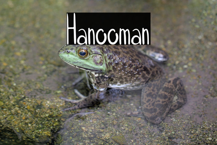 Hanooman Example 3