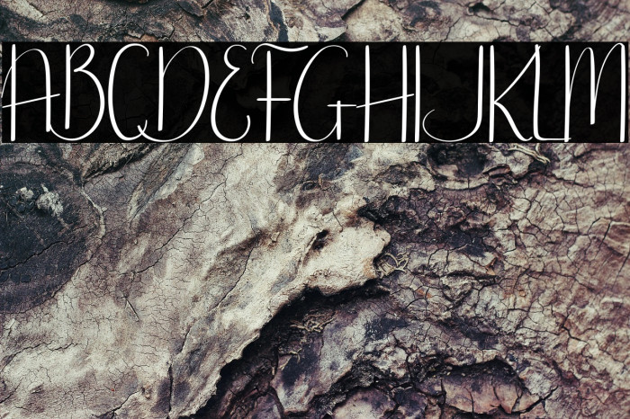 Hanry Potter Demo Example 2